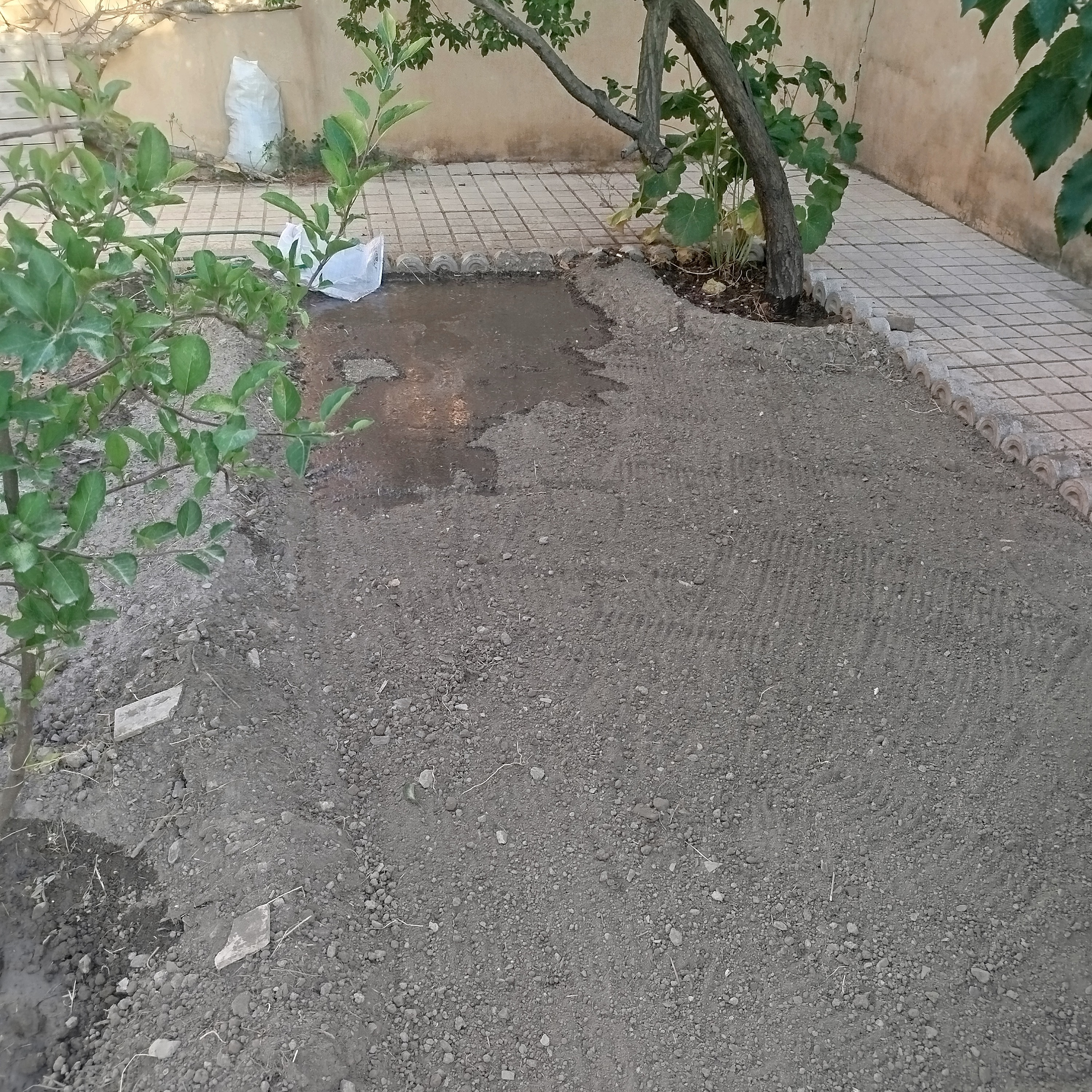 احداث باغ