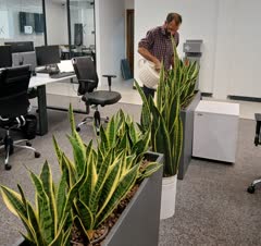 رسیدگی به گیاهان شرکت ها