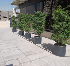 طراحی فضای سبز