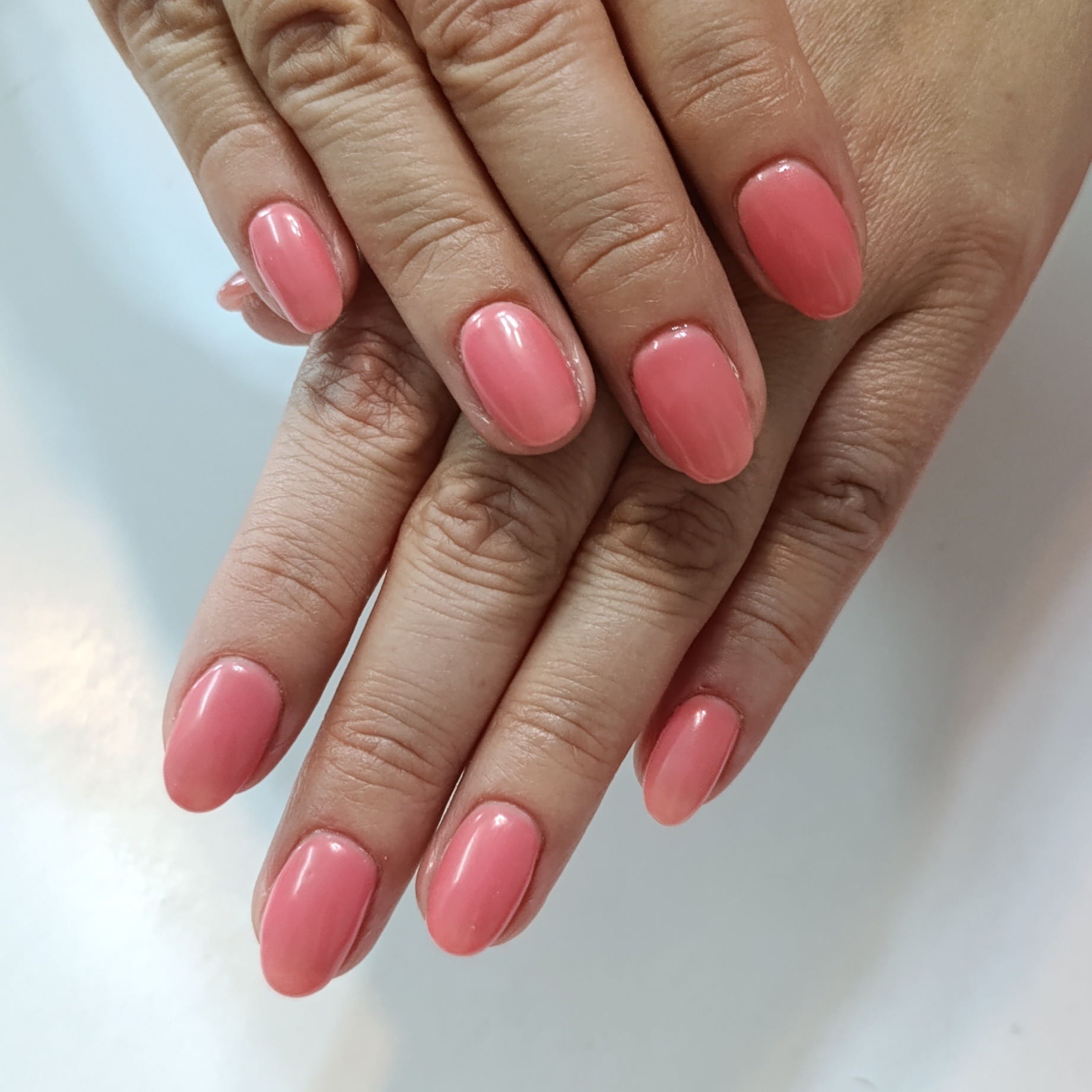 لمینت و ژلیش