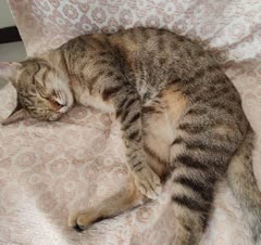 مفشوی خشگلمون راحت خوابیده