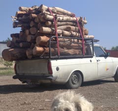 هر باری باشه میزنم