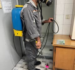 سمپاشی ادارات