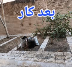 نظافت ساختمان