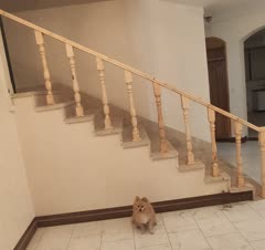 سلام بیشتر از 10سال هست در زمینه کار خودم بهترین جنس باکیفیت ب مشتری ارائه میدم حتی جنس متوسط مشتریان انتخاب کن با بهترین کیفیت اجرا میشه(گزینه متناسب با سلیقه‌ و بودجه شما)