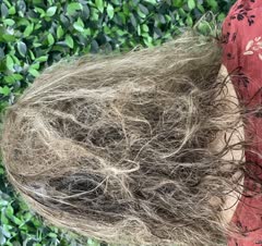 کراتین و احیای مو