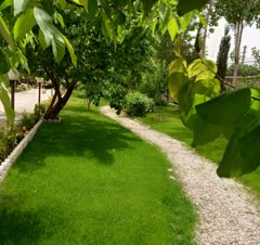 چمن کاری باغ دکتر