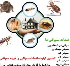 سمپاشی انواع حشرات سوسک ساس موش