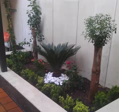 باغبانی سمپاشی