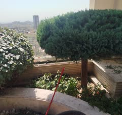 رسیدگی به روف گاردن