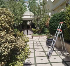 رسیدگی به روف گاردن