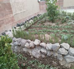 طراحی فضای سبز