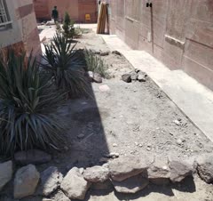 طراحی فضای سبز