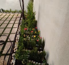 گل کاری حیاط خلوت