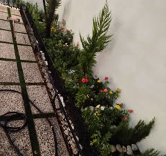 گل کاری حیاط خلوت