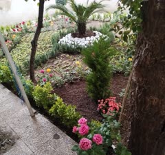 طراحی حیاط خلوت