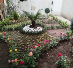 طراحی حیاط خلوت