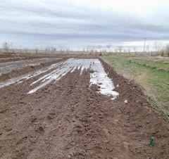 باغبانی و سمپاشی