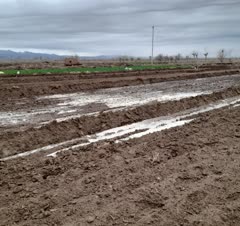 باغبانی و سمپاشی