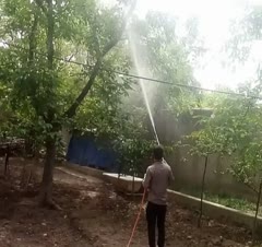 سمپاشی ،هرس،باغ