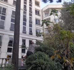 سمپاشی ،هرس،باغ