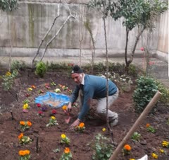 باغچه کاری،باغبانی