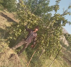 میز و ‌..‌ ام دی اف