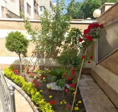 سمپاشی حشرات تضمینی