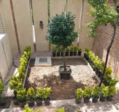 سمپاشی حشرات تضمینی