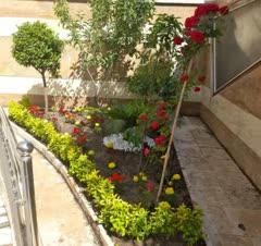 باغچه،خودرابه ما بسپارید وبه مااعتمادکنید