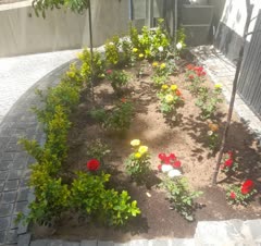 باغبانی گیاهان آپارتمانی