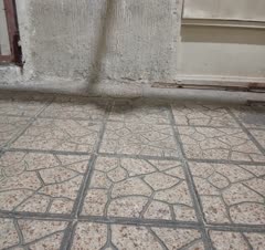 به صورت حرفه ای وتخصصی