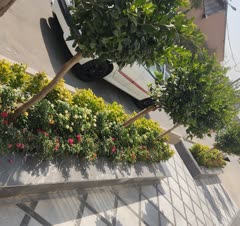 سم پاشی و باغبانی