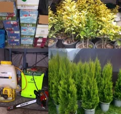 خدمات باغبانی