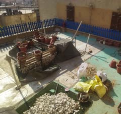 مقایسه با شما 🙌🌺