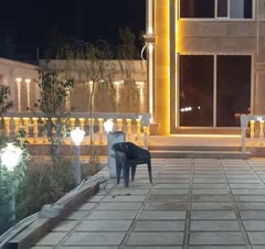 با ما حرفه ایی بدرخشید 😍