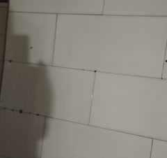 با مهارت بالا وبهترین شوینده های مخصوص