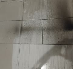 با مهارت بالا وبهترین شوینده های مخصوص