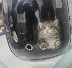 انواع جراحی های تخصصی و عمومی