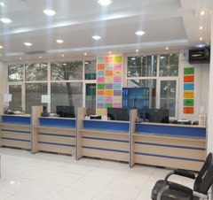 دوربین ودزدگیر پاورگستر