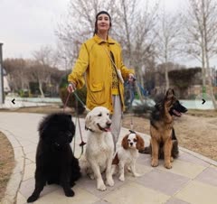 دوره پیشرفته