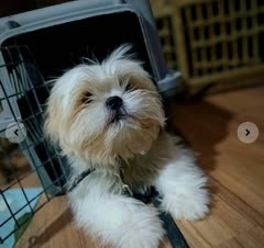 تمرین مقدماتی