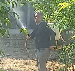 باغبانی و سمپاشی