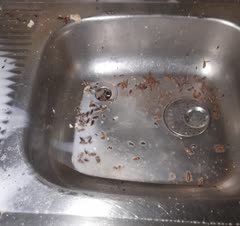 سمپاشی منازب