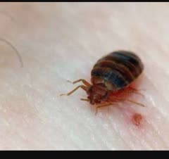 تخصص ها ونمونهذکار