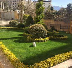 حفظ ونگهداری فضای سبز