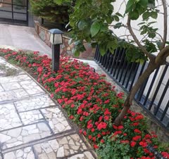 حفظ ونگهداری فضای سبز