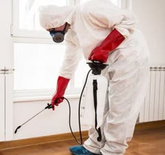 سمپاشی حشرات