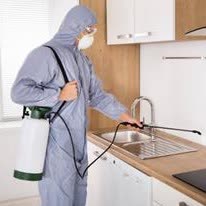 سمپاشی حشرات