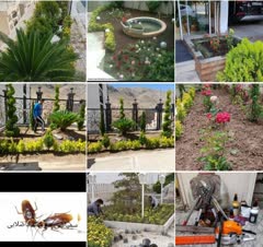 خدمات‌سمپاشی،باغبانی‌ودرختکاری